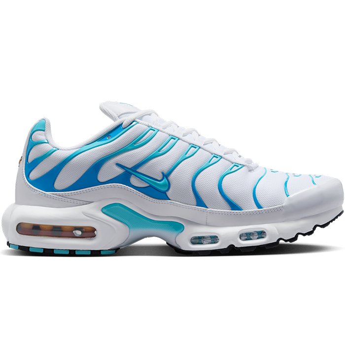 Nike Air Max Plus TN 'The Dream'