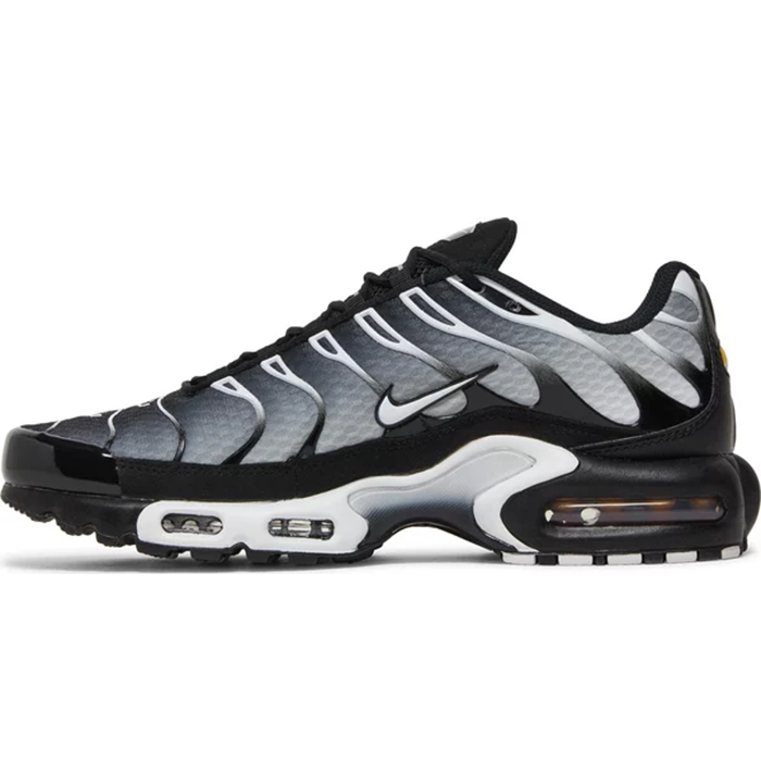 Nike Air Max Plus TN 'Metallic Silver'