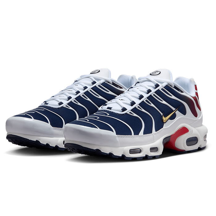 Nike Air Max Plus TN 'PSG'